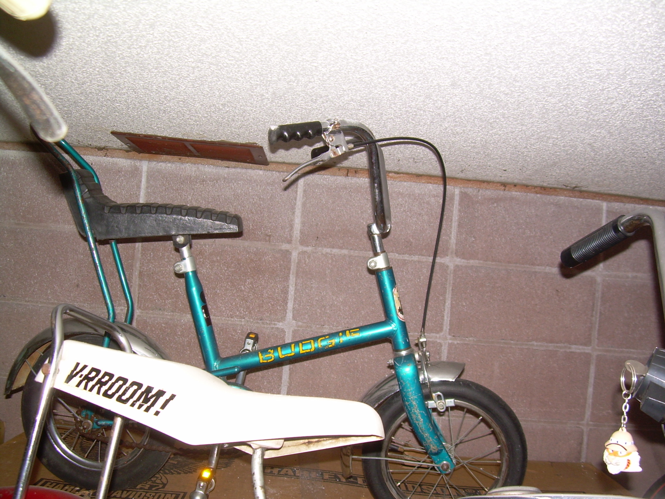 raleigh budgie